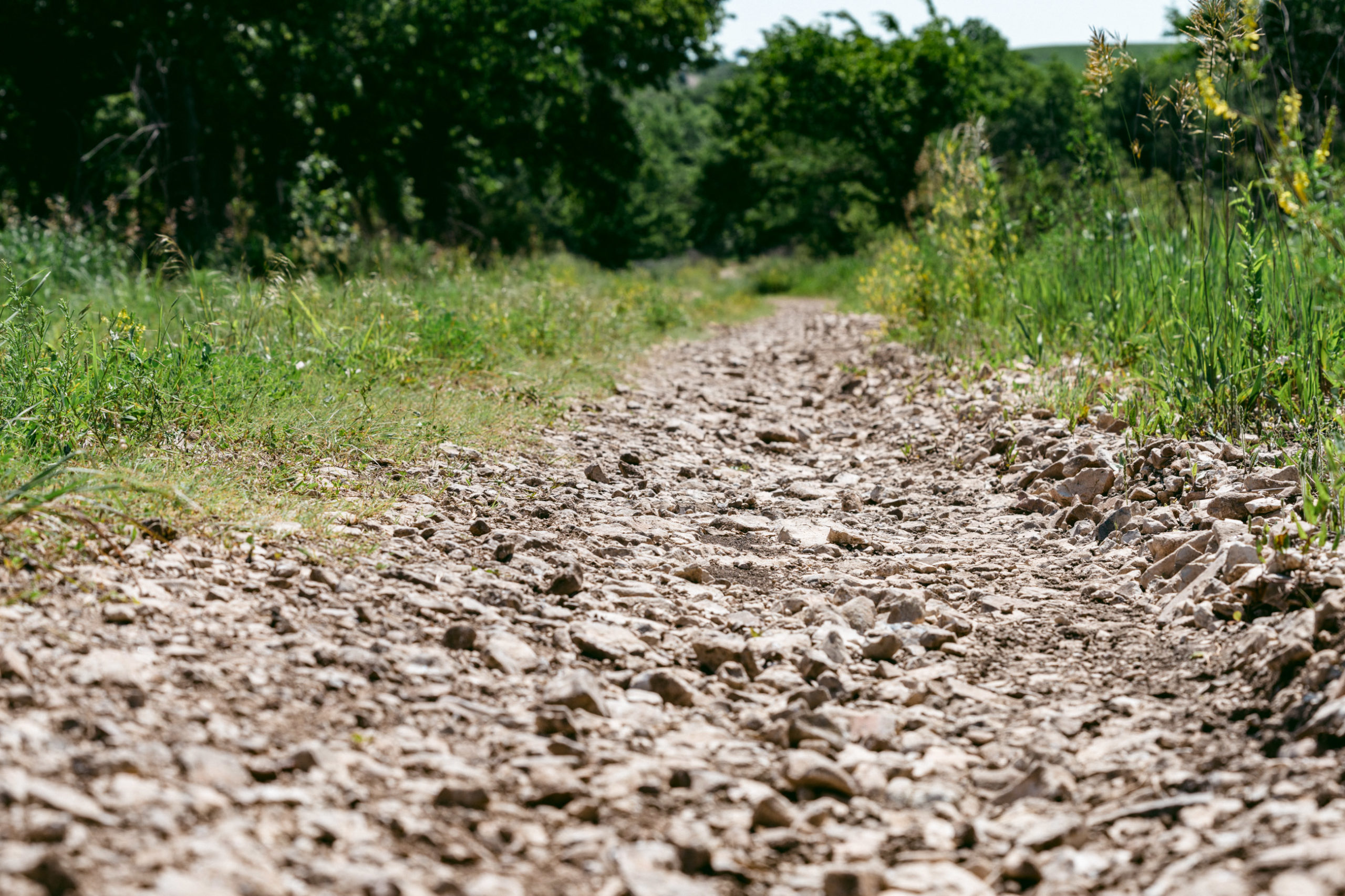 Riders faced mud ... Photo courtesy ENVE Composites/Ian Matteson