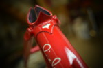 RS Painted seat stays