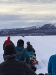 The moose was in no hurry to get off the trail. Photo by Art O’Connor