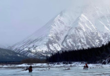 Adventure Awaits Riders of the Iditarod Trail Invitational