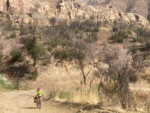 Ashley ascending through the Chapparal. Photo by Tom Diegel