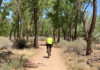 Biking the Bosque: Gravel Grinding Along the Rio Grande in Albuquerque