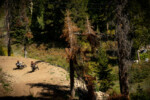 Adaptive Cycling at Jackson Hole. Photo by John Bowers