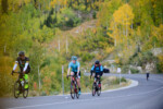 DSC_7284-anesticreative.com