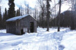 The “old” Old Woman shelter cabin. Iditarod Trail. Photo by Jill Homer