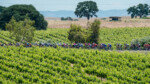 2018AToC-Men’s Stage Five-087