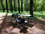 My bike with my gear and food for the evening. Photo by Nancy Ziegler