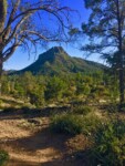 Prescott2