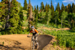 Powder Mountain Bike Park 20230704_IMDSC05717