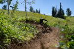 Powder Mountain Bike Park 20230806_IMDSC07791