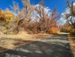 City Creek Canyon 2023 IMG_8742