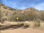 Spirit World Gravel Venture Harshaw Canyon