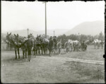 Buffalo Soldiers Bicycle Corps umt011057