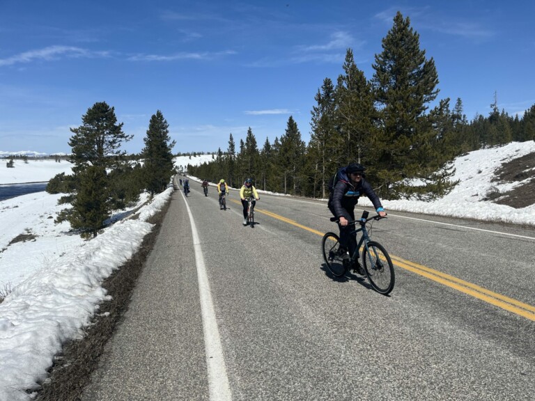 ‘Hardly Anybody There’: How to Bicycle Through Yellowstone National Park Without Cars