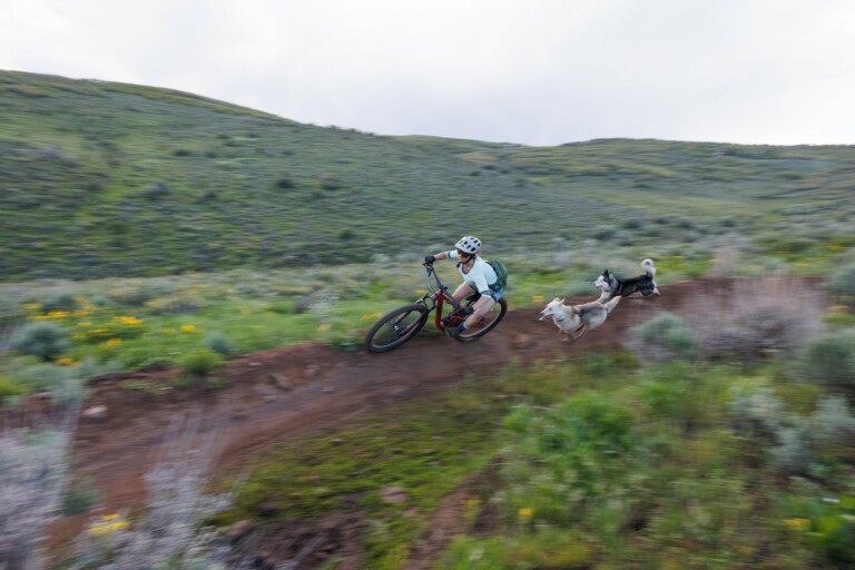 “Paws & Pedals” Mountain Bike Clinic Offers Skills Training for Riders and Their Dogs