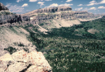 Mountain Bikers Push to Ride Through Wilderness