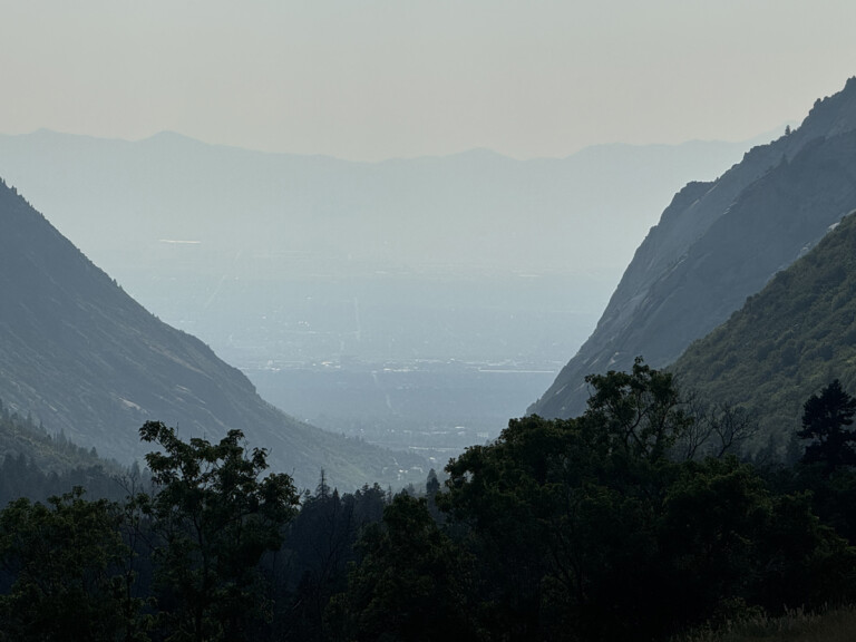 Boosting Your Body’s Defense Against Wildfire Smoke: Nutrition Tips for Cyclists