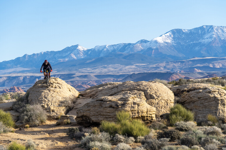 Advocacy Alert: Utah’s Zen Trail and Bear Claw Poppy Trail in Danger of Closing