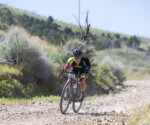 WildHorse-2518