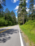 Superior National Forest in the Nett Lake Reservation. Photo by Nancy Ziegler
