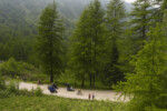 Ciclismo, Giro d’Italia 2025 tappa 20 da Verres a Sestriere