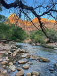 The views in Zion were spectacular. Photo by Gail Newbold