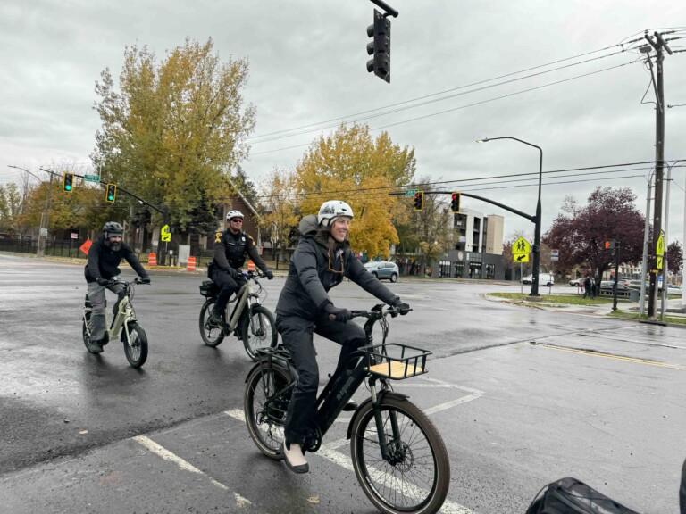 Will Congress Set Standards for Lithium-ion Batteries?