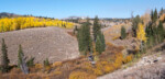 View across the upper Logan River, Idaho. Photo by Martin Neunzert