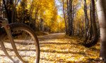 “Golden Tunnel,” Utah. Photo by Martin Neunzert