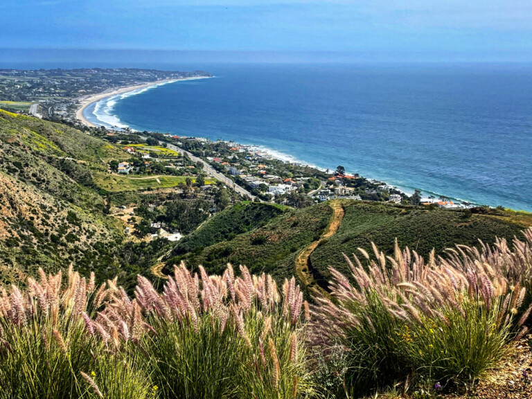 Why Can’t We Build Bike Lanes?