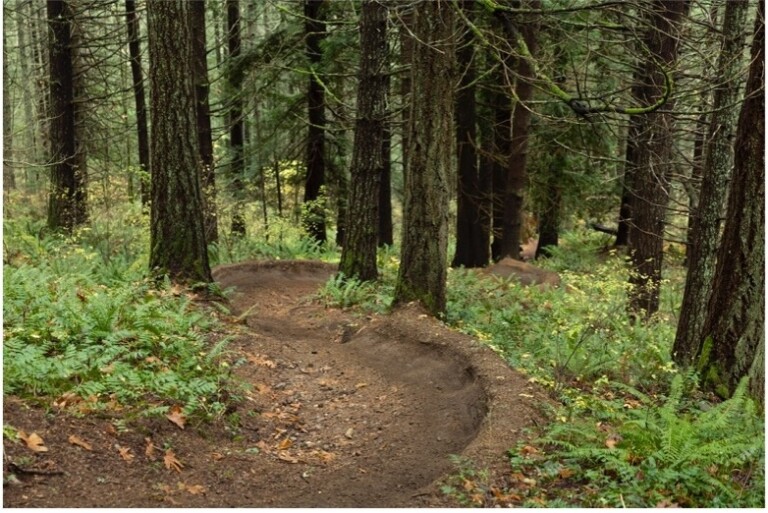 Shimano Trail Born Expands to New Continents in 2026