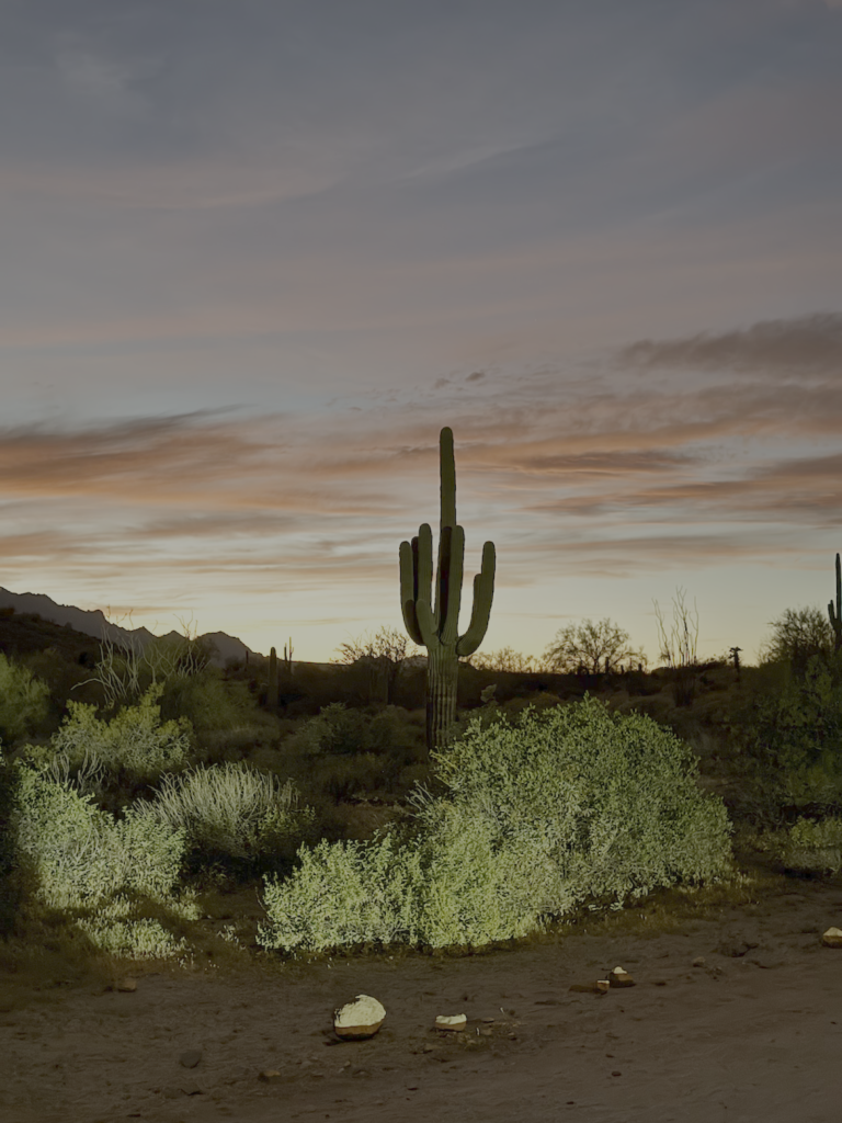 Finsterwald Wins Wild Sprint at Belgian Waffle Ride Arizona; Batten Dominates Women’s Race