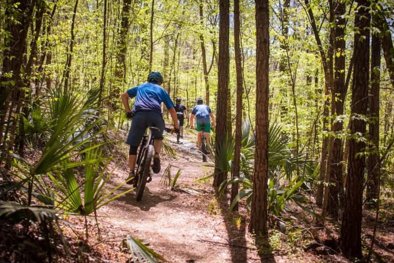 Where Trails Lead, Communities Follow: IMBA Names 2026 Trail Towns