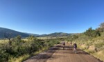 outlaw_gravel_01