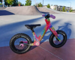 The finished version of Chloe’s bike. Photo by AJ Turner