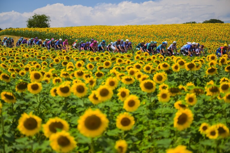 2026 Tour de France Stage 13: Schmid Sticks the Landing