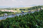 20260805TDFFAZ2104- A.S.O.-Gaetan_Flamme