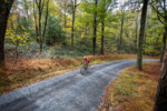 unPAved2025_EasyOnTheEyes