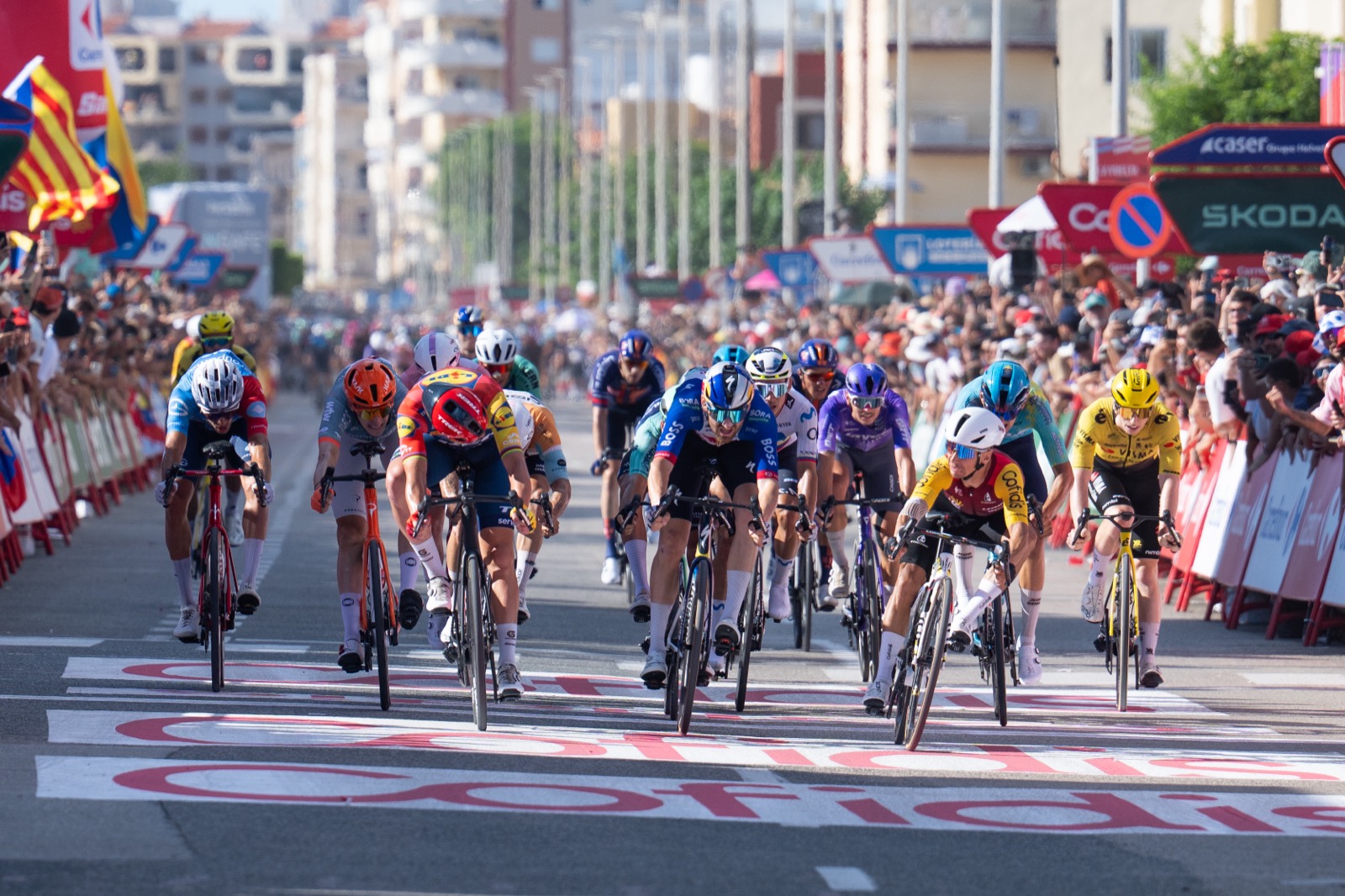 29/08/2026 - La Vuelta 2026 - Stage 8 - Puçol > Xeraco (171 Km) - Bryan COQUARD (COFIDIS). Photo: Toni Baixauli/ASO